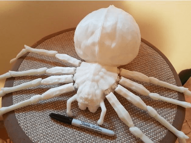 Halloween Spider